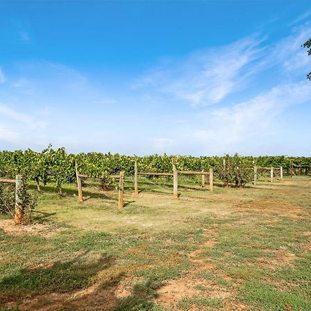 Milawa Vineyard Views - Guesthouse 2 Exterior foto
