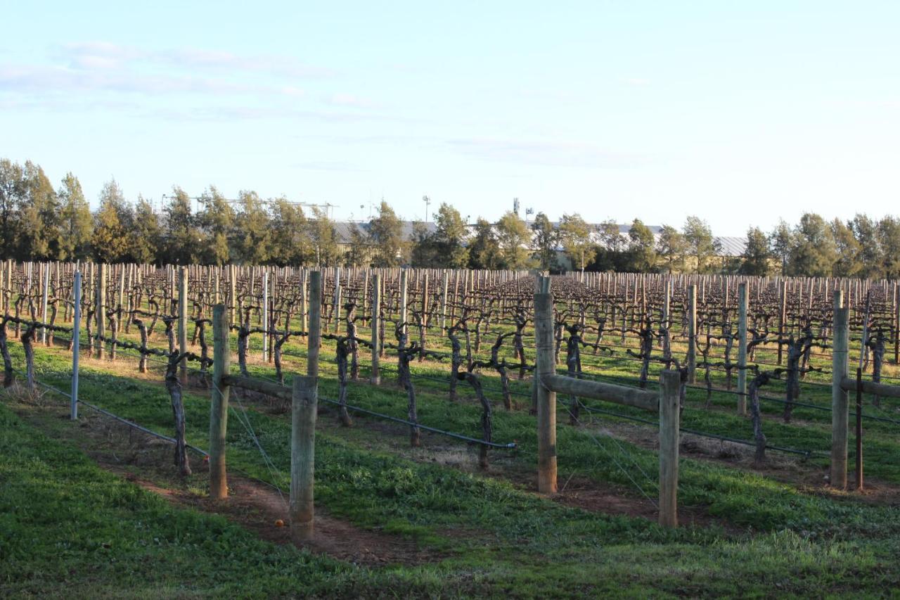 Milawa Vineyard Views - Guesthouse 2 Exterior foto